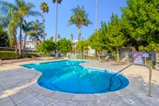 Pool - The Olive Tree Apartments