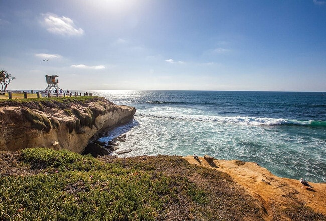 Oceanside Living in La Jolla - Oceanhouse on Prospect
