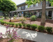 Photo - Magnolia Apartments
