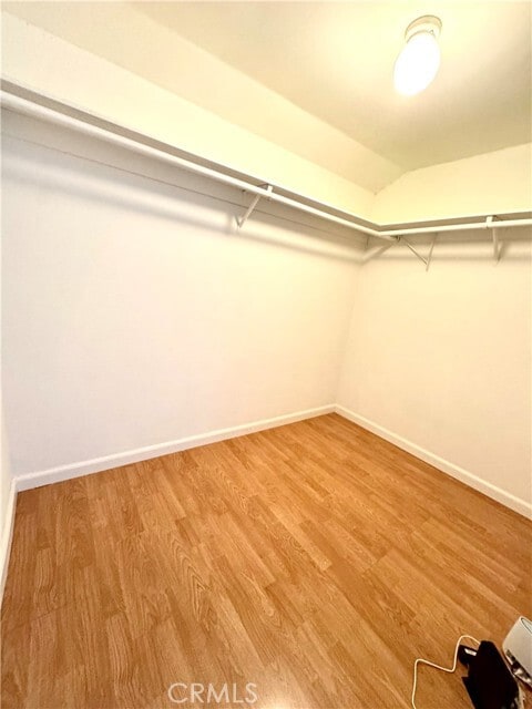 Photo - 20 Springflower