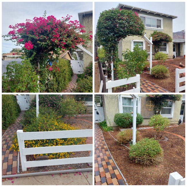 Photo - 876 Adele St Unit upstairs