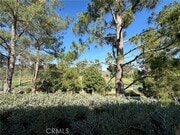 Photo - 4868 Petersen St