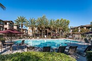 Resort-Style Swimming Pool - Meadow Square Apartment Homes