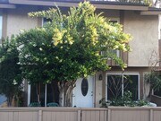 Photo - 1304 S Diamond Bar Blvd Unit C