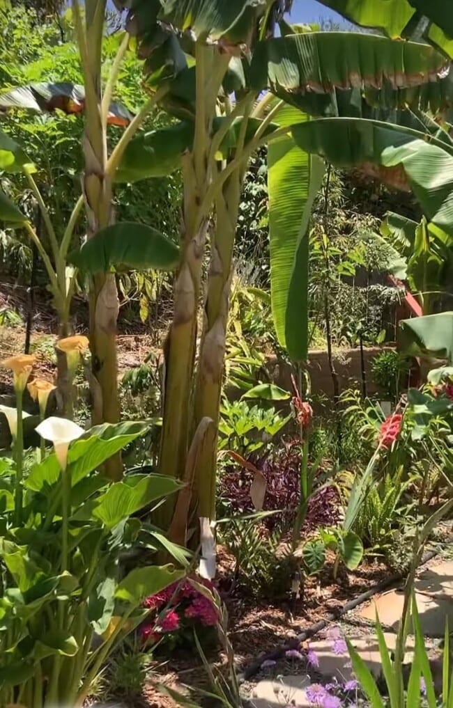 Photo - 395 Plaza Calimar