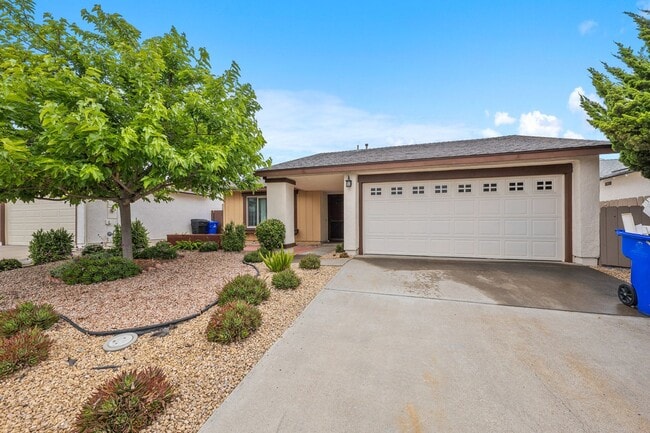 Single Family House One Level - Single Family House One Level