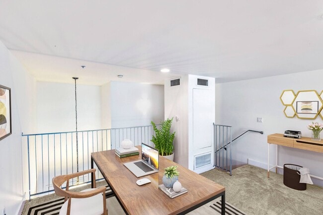 Photo - The Social Apartments