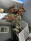 Photo - LUXURY LIVING AT AN AFFORDABLE PRICE Apartments