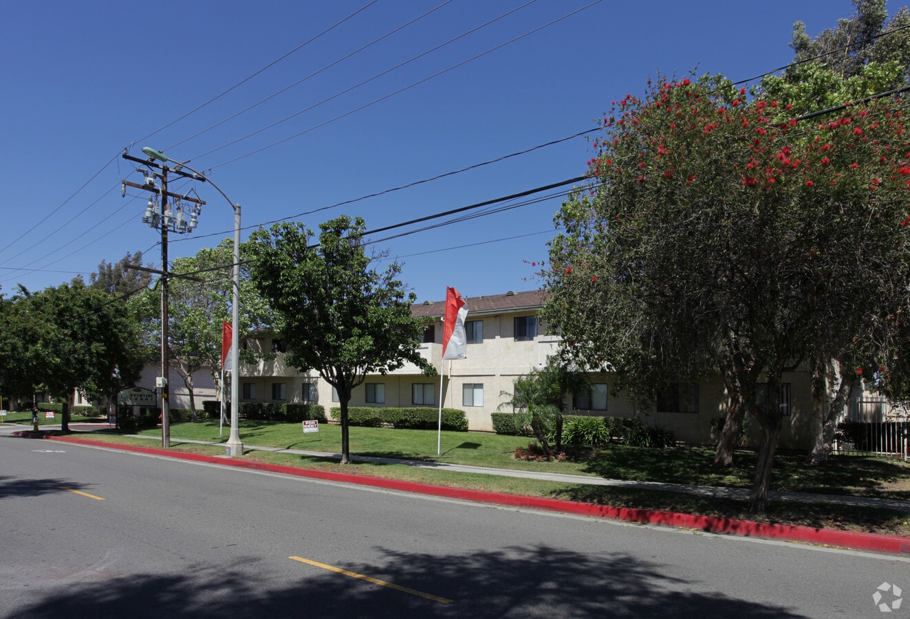 Aventine Court Apartments - Aventine Court Apartments