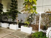 Shared courtyard - 1610 Preuss Rd Apartments Unit P1