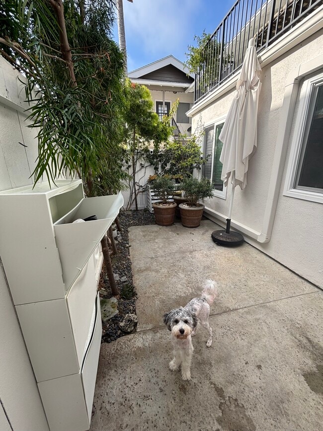 Photo - 413 14th St Unit B