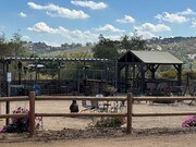 Photo - Unique opportunity!  3 BR 2.5 BA Farm-ranc...