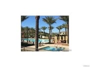 Photo - 140 Stallion