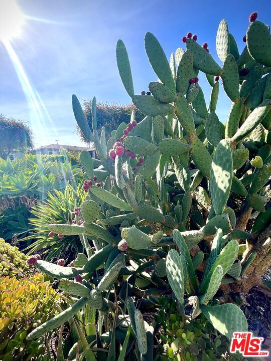 Photo - 3017 Urban Ave