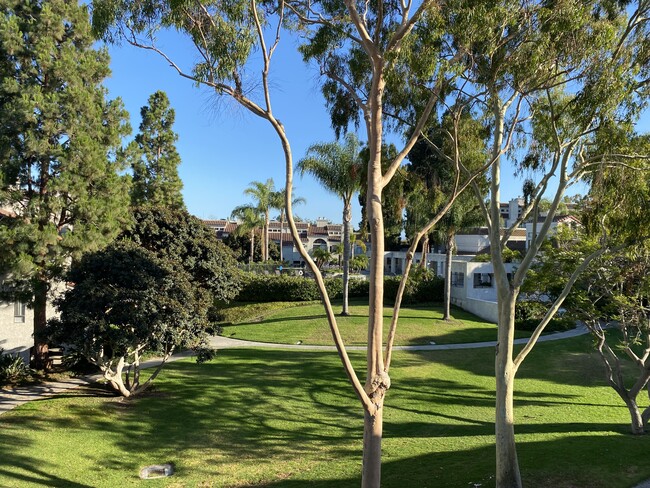 Beautiful grounds visible from master bedroom and living room - 5146 Dorado Dr Condo Unit Fully Furnished
