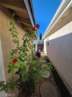 Photo - 4189 N Santa Lucia St House