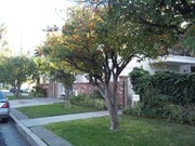 Photo - 5929 Laurel Canyon Blvd Unit 14