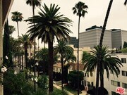 Photo - 137 S Palm Dr Unit 504