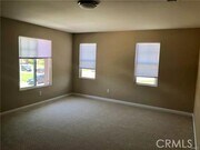 Photo - 14275 English Setter St