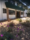 Front of building - 11666 Magnolia Blvd Apartments Unit 8