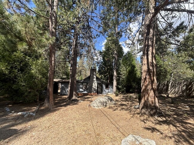 Photo - 1Bd/1Ba Cabin on .31 Acres for Rent Near Town