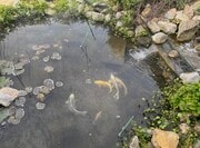 Photo - 8108 San Lucas Dr