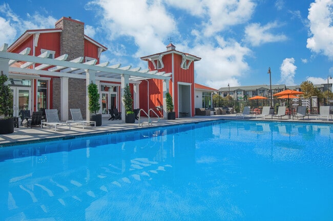Sparkling Pool - Day - Close up - Azure Apartments