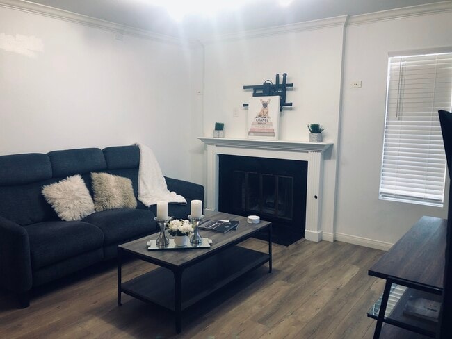 Living Room - 645 Chestnut Ave Unit 219