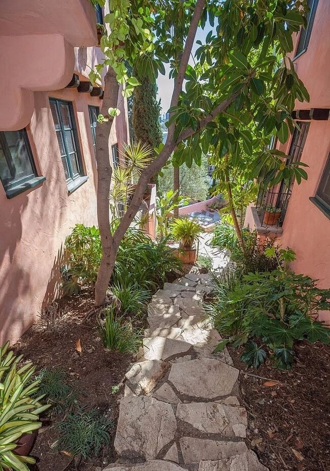 Photo - Las Orquideas