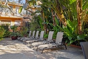 Pool - 1260-1264 N Hayworth Ave