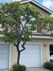Photo - Centrally Located 2 Bedroom & 2 Bathroom Townhome w/ Garage in Cabo Bahia Community