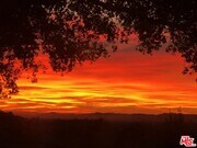 Photo - 8808 Chatlake Dr