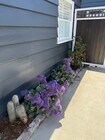 Photo - Spacious Silver Lake Charmer 2-bedroom, 1-... House