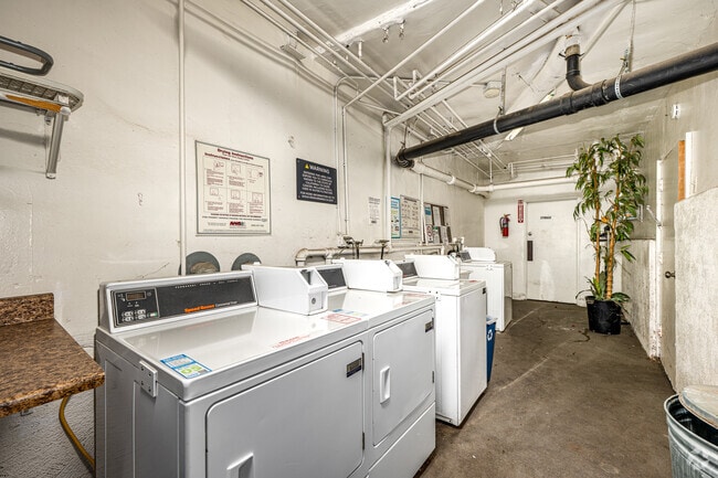 Laundry - Poinsettia Place