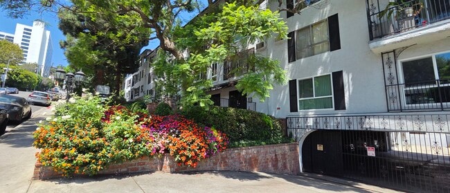 View from Street - 1222 N Olive Dr Unit 305