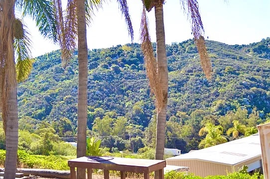 Photo - 976 Deer Springs Rd