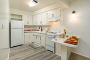 Studio - 355SF - Kitchen - Tahitian Village Apartments
