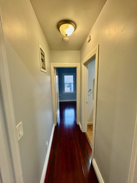 Photo - 1116 E Lexington Dr