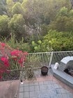 Photo - 1490 Caminito Solidago House