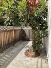 Back patio - Beachside Apartments
