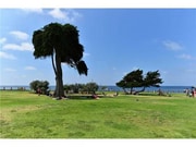 Photo - 1249 Torrey Pines Rd