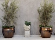 Photo - 1117 Cochran Ave