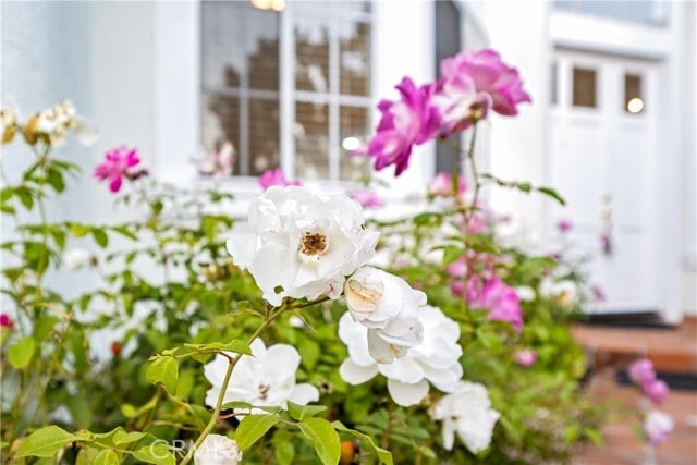 Photo - 30786 La Mer