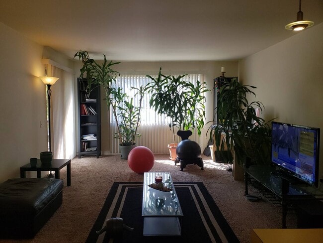 Building Photo - 1 Bedroom 1 bath on San Diego Mission Rd. Unit 211