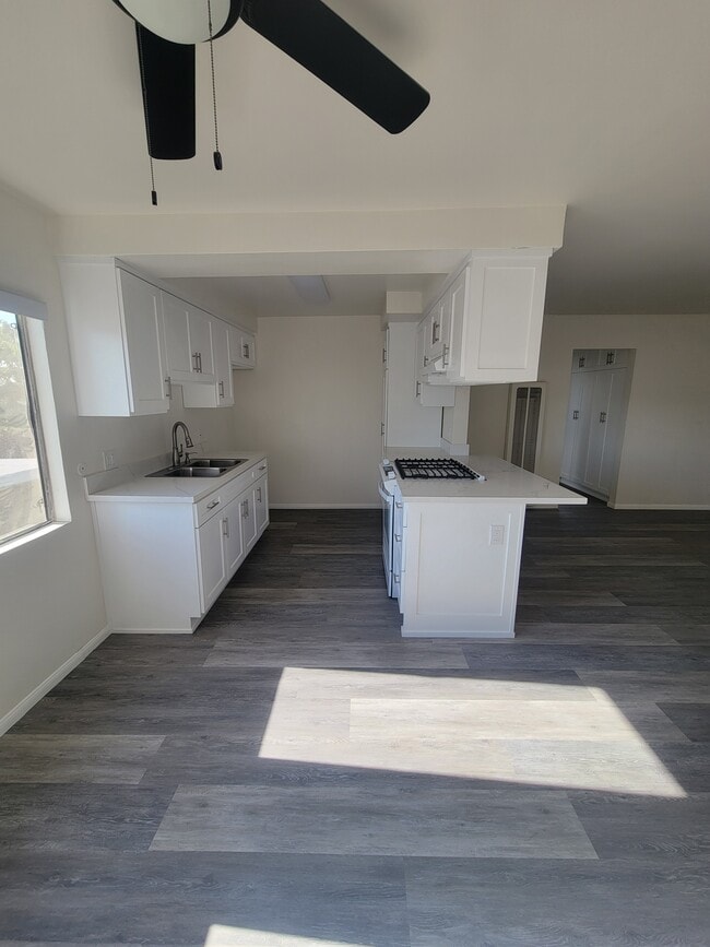 Photo - The Exotic Isle