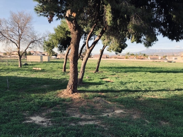 Large Back Yard - 2087 W 7th St