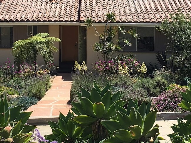 Building Photo - 911 Paseo Ferrelo