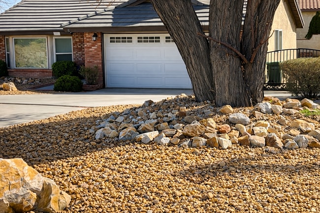 Building Photo - 12553 Foxtail Ln