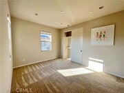 Photo - 183 Bright Poppy