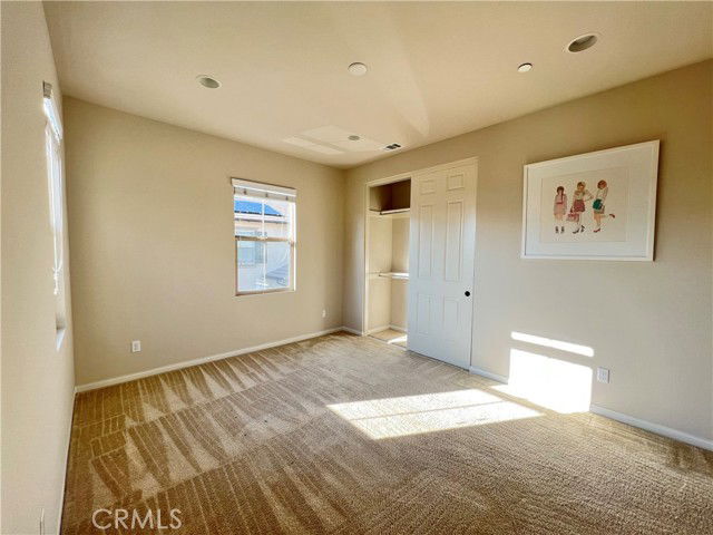 Photo - 183 Bright Poppy